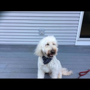 Meet your Posher, Madison